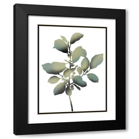 Morphism Of Dreams 2 Black Modern Wood Framed Art Print with Double Matting by Prime, Marcus