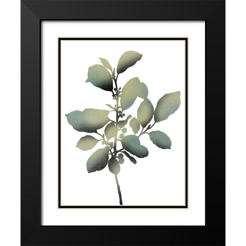 Morphism Of Dreams 2 Black Modern Wood Framed Art Print with Double Matting by Prime, Marcus