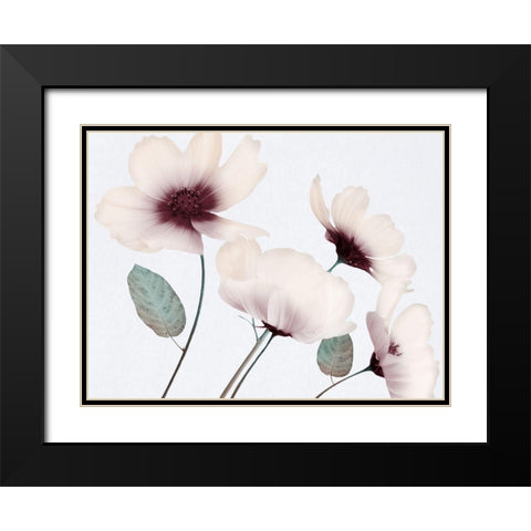 Blooming Youth 1 Black Modern Wood Framed Art Print with Double Matting by Prime, Marcus
