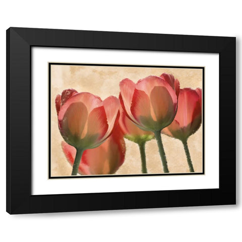 Battles Of Romance Black Modern Wood Framed Art Print with Double Matting by Prime, Marcus