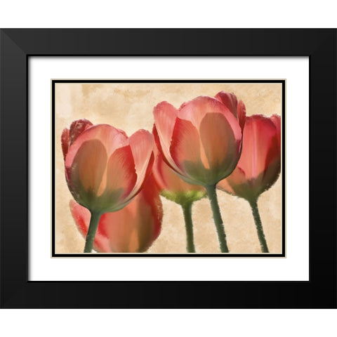 Battles Of Romance Black Modern Wood Framed Art Print with Double Matting by Prime, Marcus