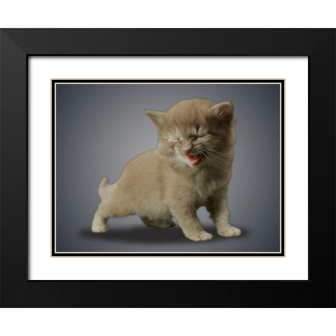 Boundless Cuteness 3 Black Modern Wood Framed Art Print with Double Matting by Prime, Marcus