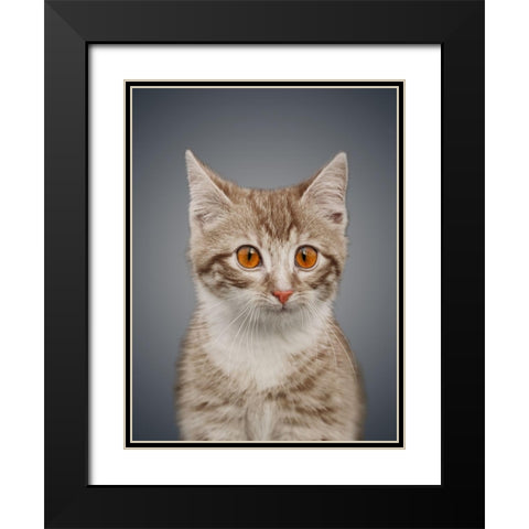 Boundless Cuteness 5 Black Modern Wood Framed Art Print with Double Matting by Prime, Marcus
