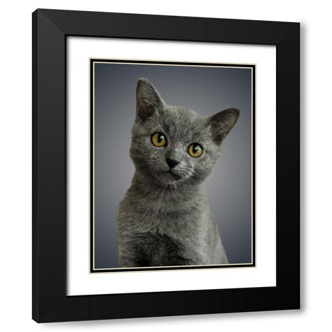 Boundless Cuteness 6 Black Modern Wood Framed Art Print with Double Matting by Prime, Marcus