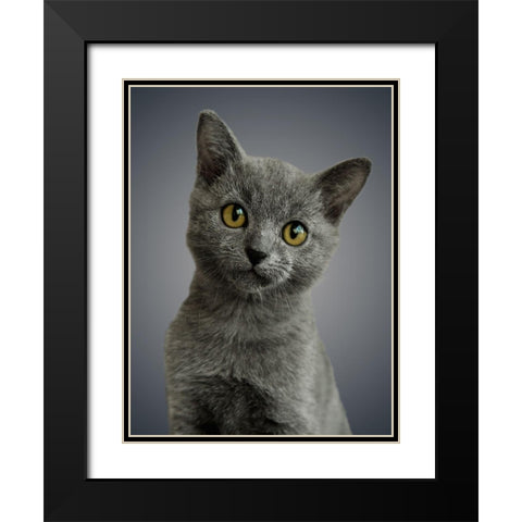 Boundless Cuteness 6 Black Modern Wood Framed Art Print with Double Matting by Prime, Marcus