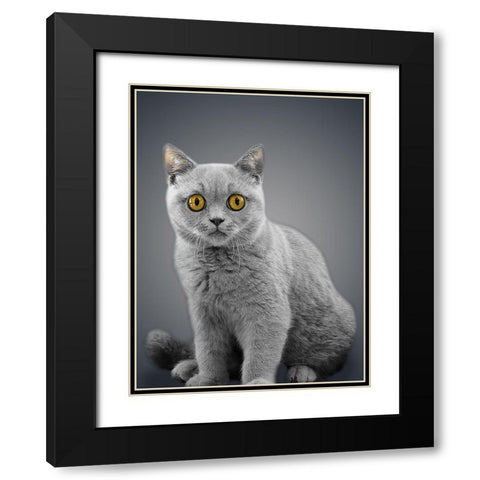 Boundless Cuteness 7 Black Modern Wood Framed Art Print with Double Matting by Prime, Marcus