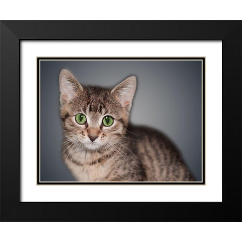 Boundless Cuteness 8 Black Modern Wood Framed Art Print with Double Matting by Prime, Marcus