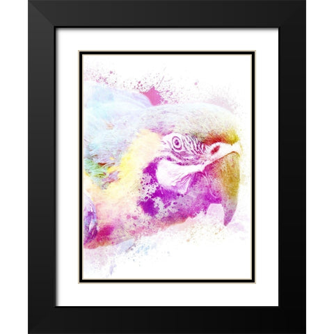 Marvelous Macaw 1 Black Modern Wood Framed Art Print with Double Matting by Prime, Marcus