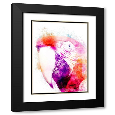Marvelous Macaw 2 Black Modern Wood Framed Art Print with Double Matting by Prime, Marcus