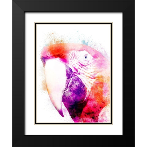 Marvelous Macaw 2 Black Modern Wood Framed Art Print with Double Matting by Prime, Marcus