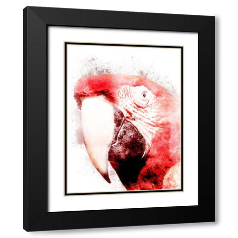 Marvelous Macaw 3 Black Modern Wood Framed Art Print with Double Matting by Prime, Marcus
