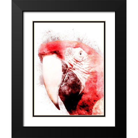 Marvelous Macaw 3 Black Modern Wood Framed Art Print with Double Matting by Prime, Marcus