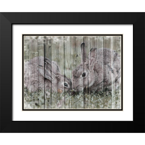 Loving Bunnies Black Modern Wood Framed Art Print with Double Matting by Prime, Marcus
