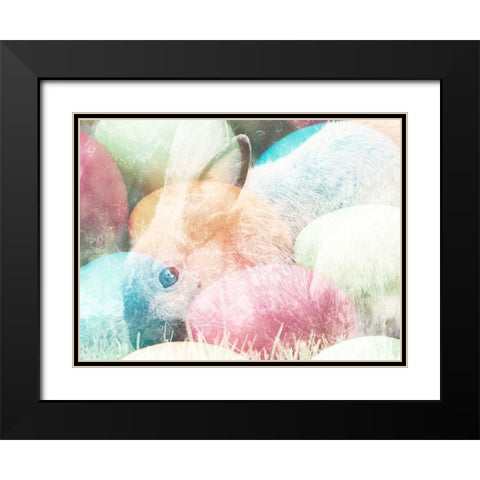 Hidden Gems Black Modern Wood Framed Art Print with Double Matting by Prime, Marcus