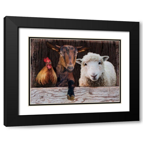 Three Amigos Black Modern Wood Framed Art Print with Double Matting by Prime, Marcus