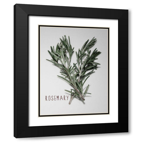 Time-Honored Rosemary 1 Black Modern Wood Framed Art Print with Double Matting by Prime, Marcus