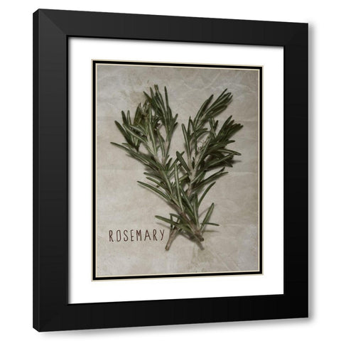 Time-Honored Rosemary 2 Black Modern Wood Framed Art Print with Double Matting by Prime, Marcus