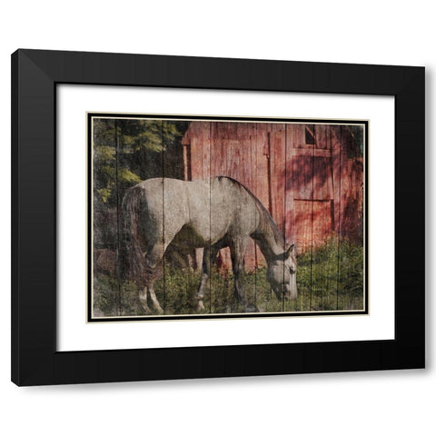 Summer Feeding Black Modern Wood Framed Art Print with Double Matting by Prime, Marcus