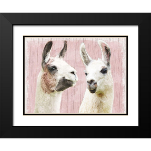 Llama Love Black Modern Wood Framed Art Print with Double Matting by Prime, Marcus
