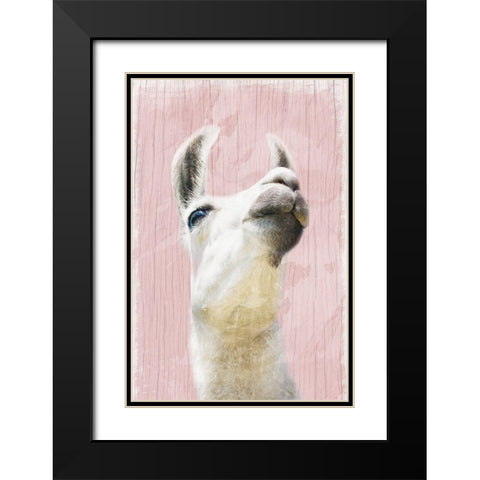 Llama Love 2 Black Modern Wood Framed Art Print with Double Matting by Prime, Marcus