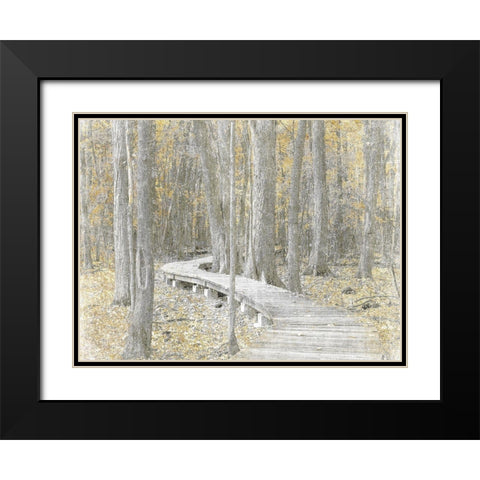 Autumn Stroll Black Modern Wood Framed Art Print with Double Matting by Prime, Marcus