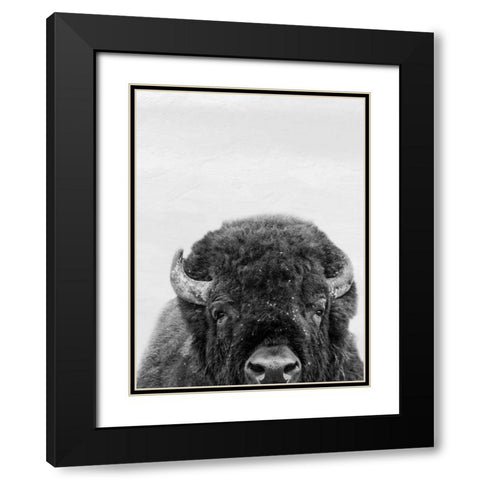 M Bison Black Modern Wood Framed Art Print with Double Matting by Prime, Marcus