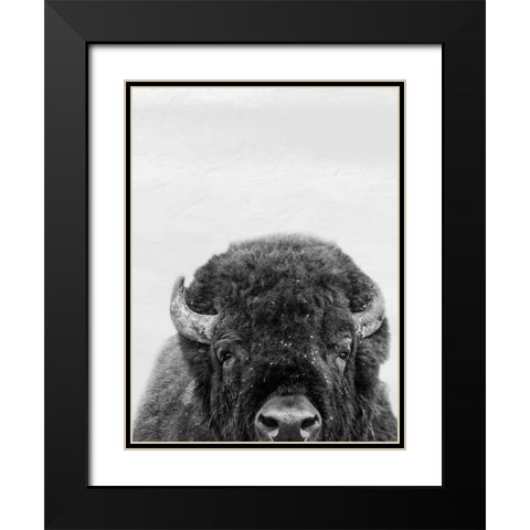M Bison Black Modern Wood Framed Art Print with Double Matting by Prime, Marcus