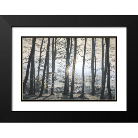 Peaceful Shine Black Modern Wood Framed Art Print with Double Matting by Prime, Marcus