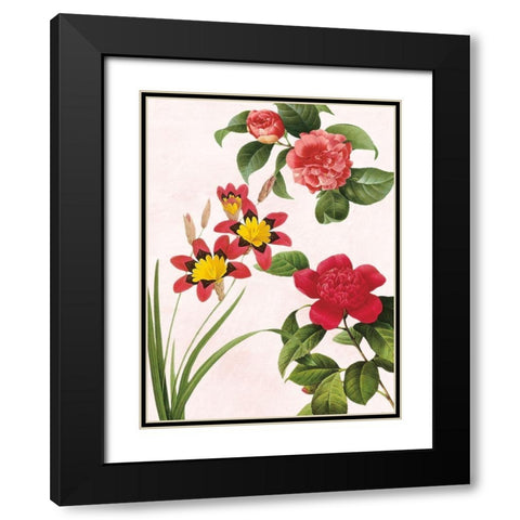 Botanical Fusion Black Modern Wood Framed Art Print with Double Matting by Prime, Marcus