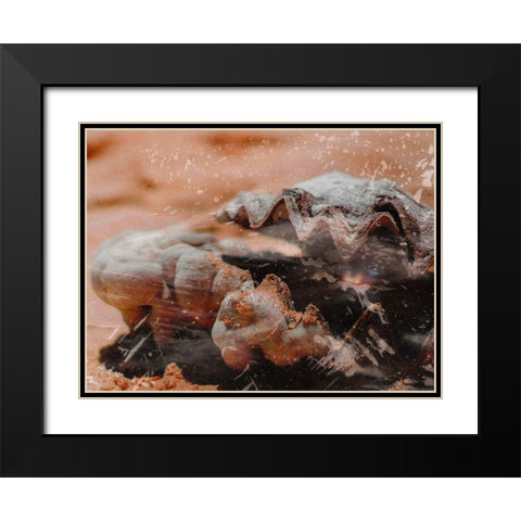 Shiny Oyster 1 Black Modern Wood Framed Art Print with Double Matting by Prime, Marcus