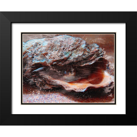 Shiny Oyster 2 Black Modern Wood Framed Art Print with Double Matting by Prime, Marcus