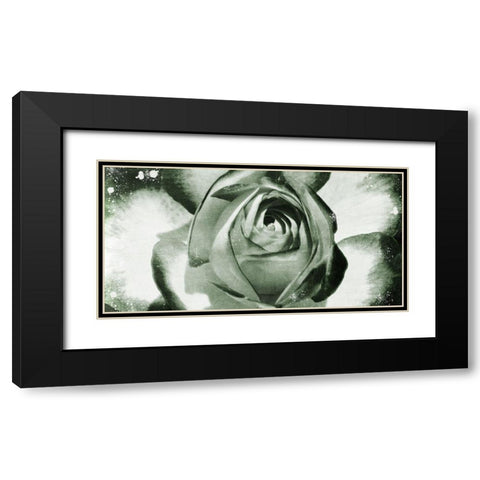Floral Droplets Black Modern Wood Framed Art Print with Double Matting by Prime, Marcus
