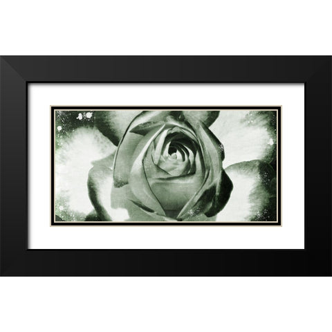 Floral Droplets Black Modern Wood Framed Art Print with Double Matting by Prime, Marcus