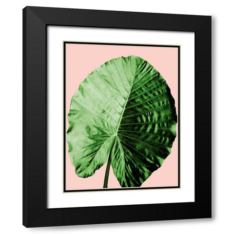 Vacation Desires 3 Black Modern Wood Framed Art Print with Double Matting by Prime, Marcus