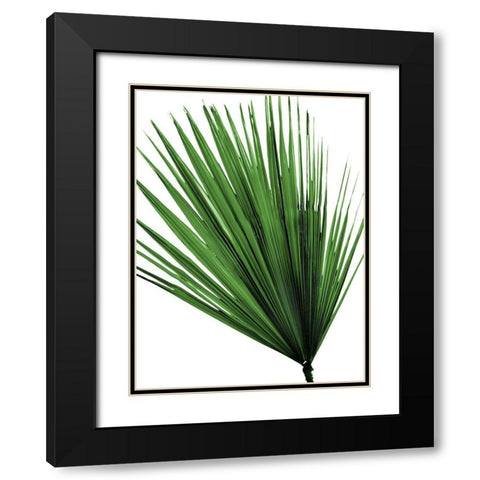 Vacation Desires 5 Black Modern Wood Framed Art Print with Double Matting by Prime, Marcus