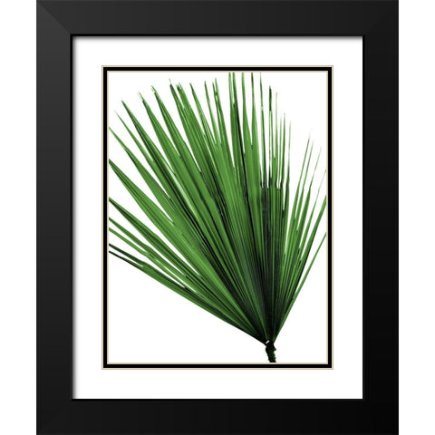 Vacation Desires 5 Black Modern Wood Framed Art Print with Double Matting by Prime, Marcus