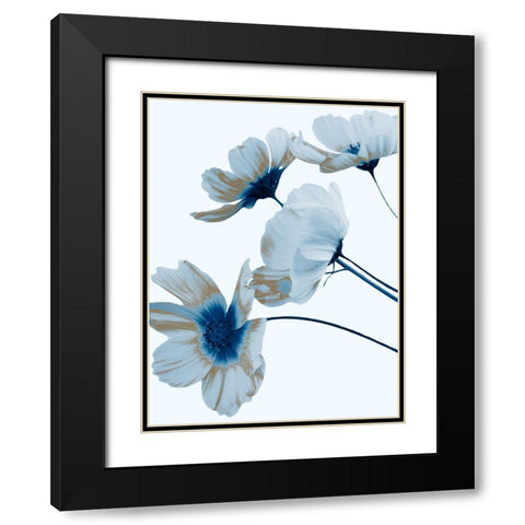 Metallic Shine 1 Black Modern Wood Framed Art Print with Double Matting by Prime, Marcus