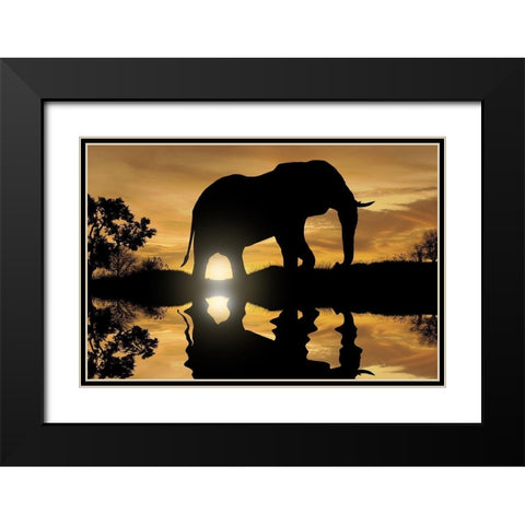 Calming Walk 1 Black Modern Wood Framed Art Print with Double Matting by Prime, Marcus