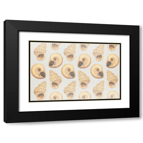 Flowing Shells 2 Black Modern Wood Framed Art Print with Double Matting by Prime, Marcus