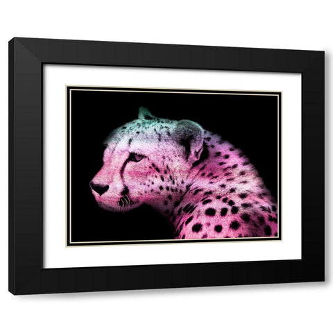 Fun Cheetah 1 Black Modern Wood Framed Art Print with Double Matting by Prime, Marcus