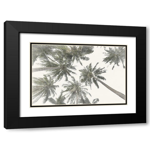 Organic Rises 1 Black Modern Wood Framed Art Print with Double Matting by Prime, Marcus