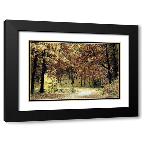 Wilderness Walk 1 Black Modern Wood Framed Art Print with Double Matting by Prime, Marcus