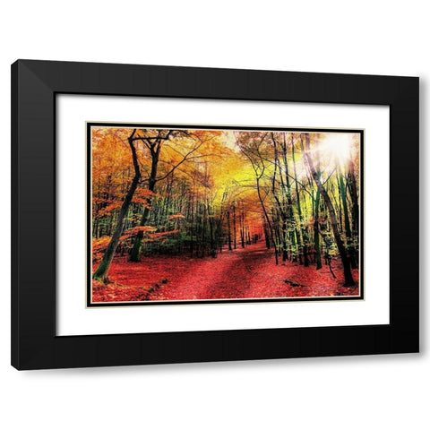 Hansels Adventure 1 Black Modern Wood Framed Art Print with Double Matting by Prime, Marcus