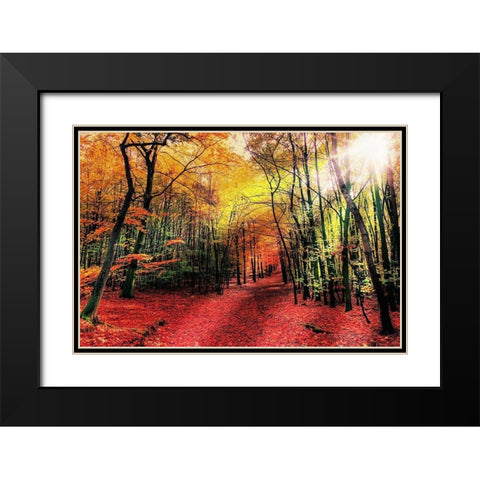 Hansels Adventure 1 Black Modern Wood Framed Art Print with Double Matting by Prime, Marcus