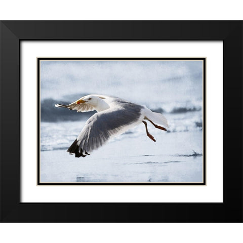 Fly Free 2 Black Modern Wood Framed Art Print with Double Matting by Prime, Marcus