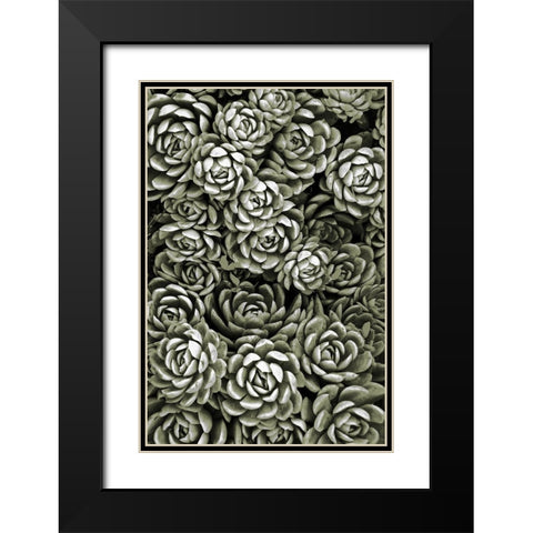 Botanical Farm 1 Black Modern Wood Framed Art Print with Double Matting by Prime, Marcus