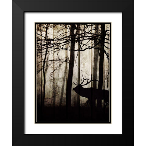 Dawn Lit Stroll 1 Black Modern Wood Framed Art Print with Double Matting by Prime, Marcus