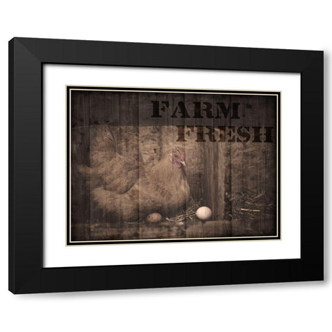 Farm Fresh Chicken 1 Black Modern Wood Framed Art Print with Double Matting by Prime, Marcus