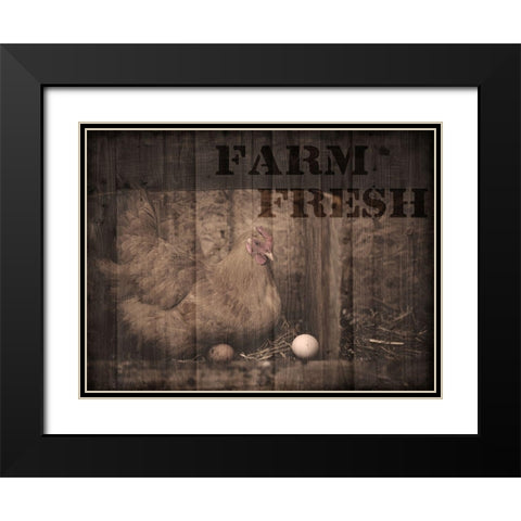 Farm Fresh Chicken 1 Black Modern Wood Framed Art Print with Double Matting by Prime, Marcus