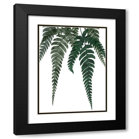 Evergreen Bliss 1 Black Modern Wood Framed Art Print with Double Matting by Prime, Marcus
